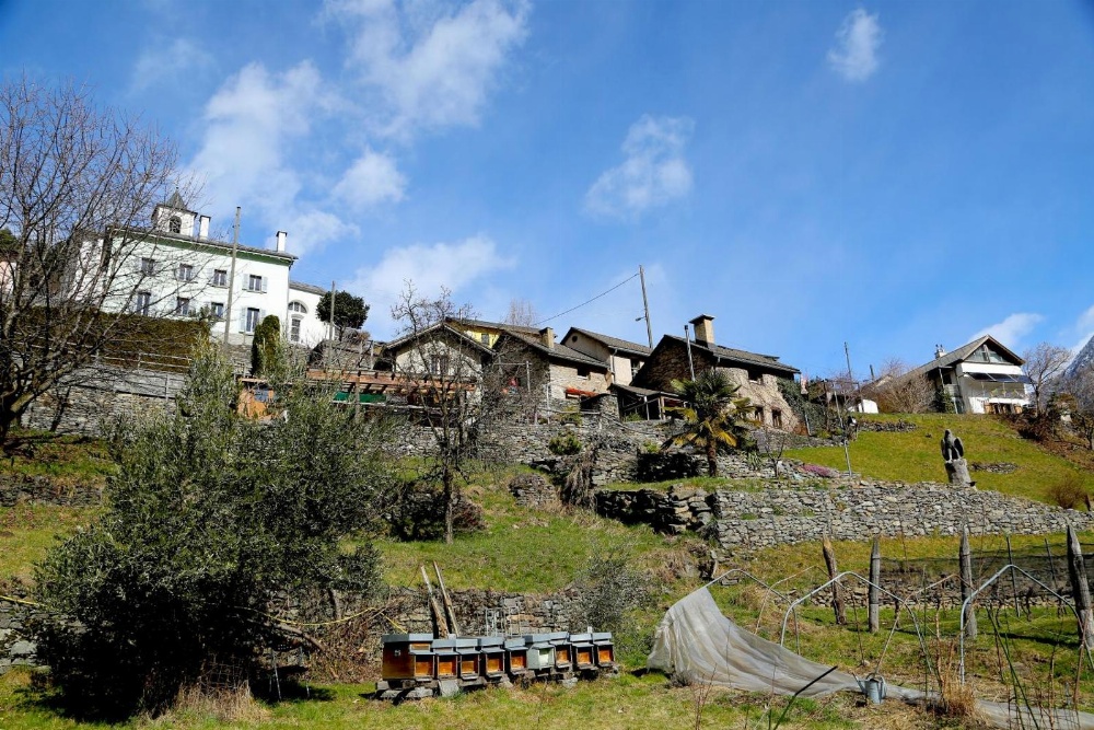 Casa Dosc Main image